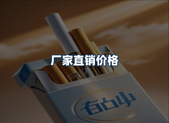 专业团队办公环境
